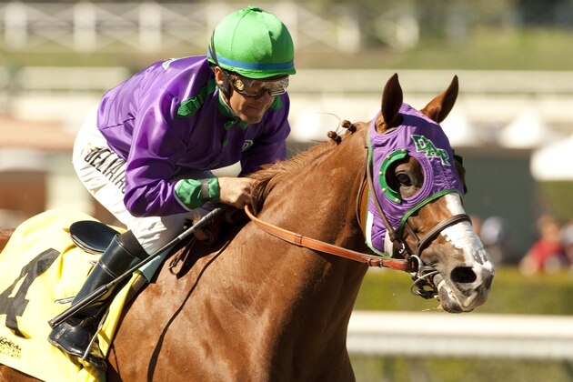 In this image provided by Benoit Photo, California Chrome, ridden by Victor Espinoza, leads wire-to-wire to win the San Felipe Stakes horse race Saturday, March 8, 2014 at Santa Anita Park in Arcadia, Calif. (AP Photo/Benoit Photo) ©Benoit Photo