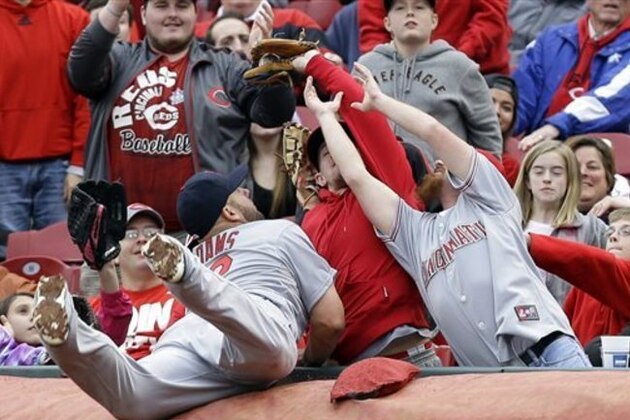 St. Louis Cardinals first baseman Matt Adams falls into the stands while trying to catch a foul ball hit by Cincinnati Reds' Chris Heisey that was caught by a fan in the third inning of a baseball game on Thursday, April 3, 2014, in Cincinnati. (AP Photo/Al Behrman)