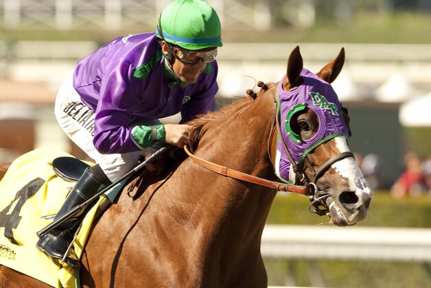 In this image provided by Benoit Photo, California Chrome, ridden by Victor Espinoza, leads wire-to-wire to win the San Felipe Stakes horse race Saturday, March 8, 2014 at Santa Anita Park in Arcadia, Calif. (AP Photo/Benoit Photo) ©Benoit Photo