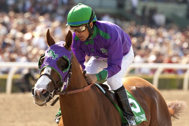 In a photo provided by Benoit Photo, California Chrome and jockey Victor Espinoza win the Santa Anita Derby horse race Saturday, April 5, 2014, at Santa Anita in Arcadia, Calif. (AP Photo/Benoit Photo)