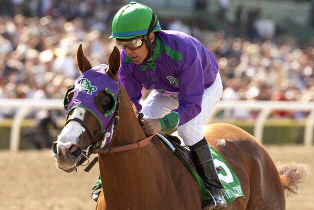 In a photo provided by Benoit Photo, California Chrome and jockey Victor Espinoza win the Santa Anita Derby horse race Saturday, April 5, 2014, at Santa Anita in Arcadia, Calif. (AP Photo/Benoit Photo)