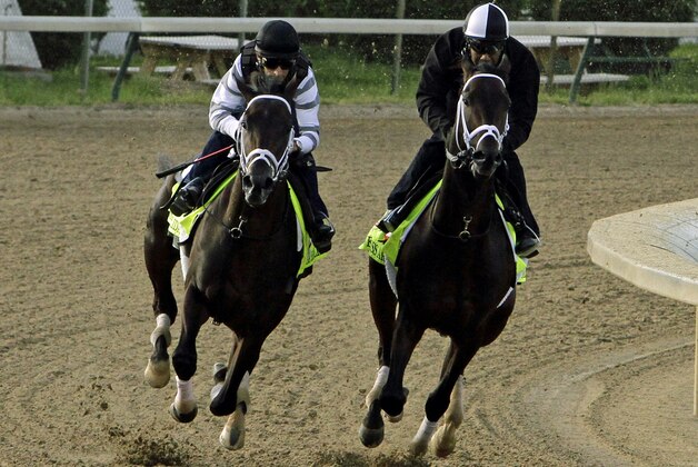 Trainer Todd Pletcher's Kentucky Derby hopefuls at Churchill Downs in Louisville, Ky., Sunday, April 27, 2014.  (AP Photo/Garry Jones)