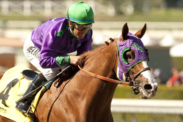 In this image provided by Benoit Photo, California Chrome, ridden by Victor Espinoza, leads wire-to-wire to win the San Felipe Stakes horse race Saturday, March 8, 2014 at Santa Anita Park in Arcadia, Calif. (AP Photo/Benoit Photo) ©Benoit Photo