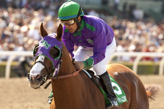 In a photo provided by Benoit Photo, California Chrome and jockey Victor Espinoza win the Santa Anita Derby horse race Saturday, April 5, 2014, at Santa Anita in Arcadia, Calif. (AP Photo/Benoit Photo)