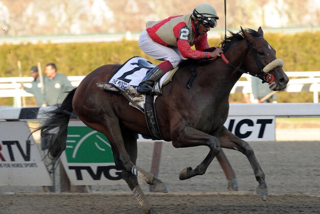 In this photo provided by the New York Racing Association, Wicked Strong, with Rajiv Maragh aboard, captures The Wood Memorial Stakes horse race at Aqueduct Race Track in New York, Saturday, April 5, 2014. (AP Photo/New York Racing Association, David Alcosser)