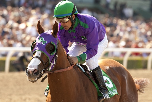 In a photo provided by Benoit Photo, California Chrome and jockey Victor Espinoza win the Santa Anita Derby horse race Saturday, April 5, 2014, at Santa Anita in Arcadia, Calif. (AP Photo/Benoit Photo)