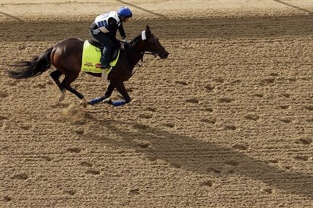 Exercise rider Loren Diego takes Kentucky Derby hopeful Big Bazinga for a morning workout at Churchill Downs Tuesday, April 29, 2014, in Louisville, Ky. (AP Photo/Charlie Riedel)