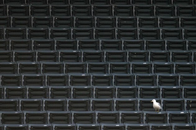 With the Cleveland Cavaliers playing the Boston Celtics in game two of the NBA Eastern Conference semi-final series in Quicken Loans Arena, few people, and at least this one seagull sitting in an empty section of seats,  attended the Cleveland Indians baseball game against the Toronto Blue Jays next door at Progressive Field on Monday, May 3, 2010, in Cleveland. (AP Photo/Amy Sancetta)