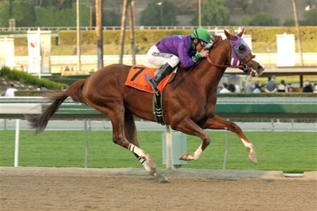 ADVANCE FOR WEEKEND EDITIONS, APRIL 26-27 - FILE - In this Jan. 25, 2014 file photo provided by Benoit Photo, California Chrome and jockey Victor Espinoza win the $250,000 California Cup Derby horse race at Santa Anita in Arcadia, Calif. A full field of 20 is expected for the 140th Kentucky Derby on May 3. California Chrome is the early favorite.  (AP Photo/Benoit Photo, File)