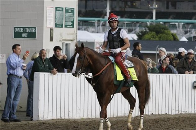 Exercise rider William Delgado takes Kentucky Derby hopeful California Chrome for a morning workout at Churchill Downs Wednesday, April 30, 2014, in Louisville, Ky. (AP Photo/Garry Jones)