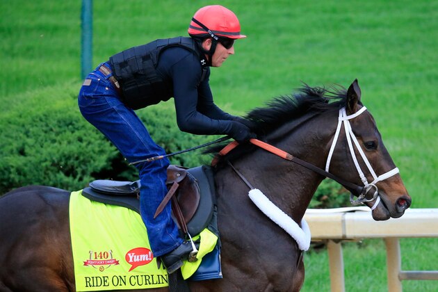 LOUISVILLE, KY - APRIL 30: Ride On Curlin ridden by Bryan Beccia during the morning exercise session in preparation for the 140th Kentucky Derby at Churchill Downs on April 30, 2014 in Louisville, Kentucky.  (Photo by Rob Carr/Getty Images)