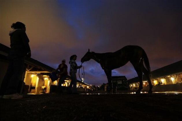 A horse gets a bath after a morning workout at Churchill Downs Wednesday, April 30, 2014, in Louisville, Ky. (AP Photo/Charlie Riedel)