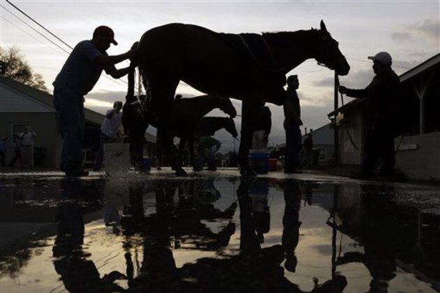 Horses get bathes after their morning workouts at Churchill Downs Wednesday, April 30, 2014, in Louisville, Ky. (AP Photo/Morry Gash)