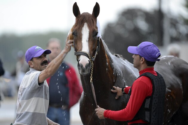 Apr 29, 2014; Louisville, KY, USA; Groom Raul Rodriguez washes Kentucky Derby hopeful California Chrome while exercise rider William Delgado holds the horse steady following a morning workout out at Churchill Downs. Mandatory Credit: Jamie Rhodes-USA TODAY Sports