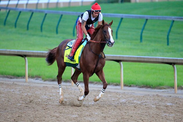 LOUISVILLE, KY - APRIL 30:  California Chrome ridden by William Delgado trains on the track during the morning exercise session in preparation for the 140th Kentucky Derby at Churchill Downs on April 30, 2014 in Louisville, Kentucky.  (Photo by Rob Carr/Getty Images)