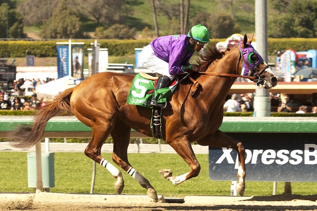 In a photo provided by Benoit Photo, California Chrome and jockey Victor Espinoza win the Santa Anita Derby horse race, Saturday, April 5, 2014, at Santa Anita in Arcadia, Calif. (AP Photo/Benoit Photo)