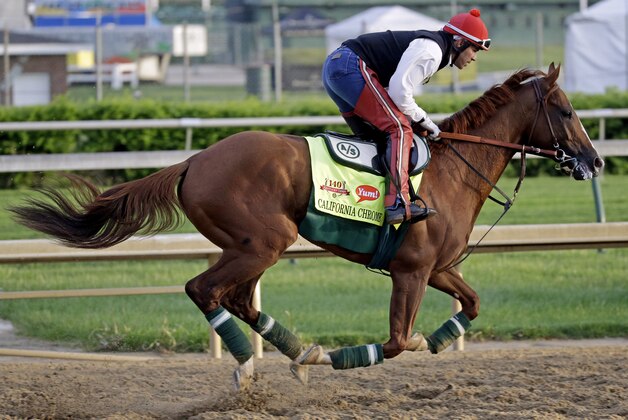 Exercise rider William Delgado takes Kentucky Derby entrant California Chrome for a morning workout at Churchill Downs Thursday, May 1, 2014, in Louisville, Ky. (AP Photo/Morry Gash)