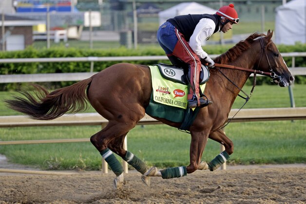 Exercise rider William Delgado takes Kentucky Derby entrant California Chrome for a morning workout at Churchill Downs Thursday, May 1, 2014, in Louisville, Ky. (AP Photo/Morry Gash)