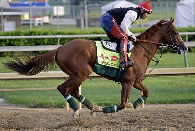 Exercise rider William Delgado takes Kentucky Derby entrant California Chrome for a morning workout at Churchill Downs Thursday, May 1, 2014, in Louisville, Ky. (AP Photo/Morry Gash)