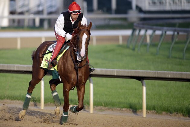 Exercise rider William Delgado takes Kentucky Derby entrant California Chrome for a morning workout at Churchill Downs Thursday, May 1, 2014, in Louisville, Ky. (AP Photo/Morry Gash)