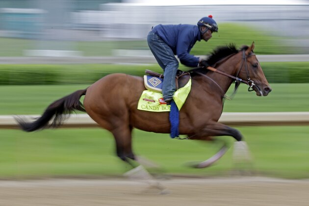 Exercise rider Jelani Grant takes Kentucky Derby hopeful Candy Boy for a morning workout at Churchill Downs Wednesday, April 30, 2014, in Louisville, Ky. (AP Photo/Morry Gash)