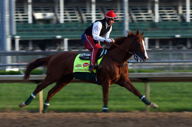 LOUISVILLE, KY - MAY 01:  California Chrome runs on the track during the morning training for the Kentucky Derby at Churchill Downs on May 1, 2014 in Louisville, Kentucky.  (Photo by Andy Lyons/Getty Images)
