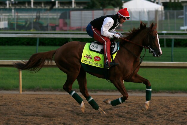 LOUISVILLE, KY - MAY 01:  Kentucky Derby contender California Chrome works during early morning workouts at Churchill Downs on May 1, 2014 in Louisville, Kentucky.  (Photo by Kevin C. Cox/Getty Images)