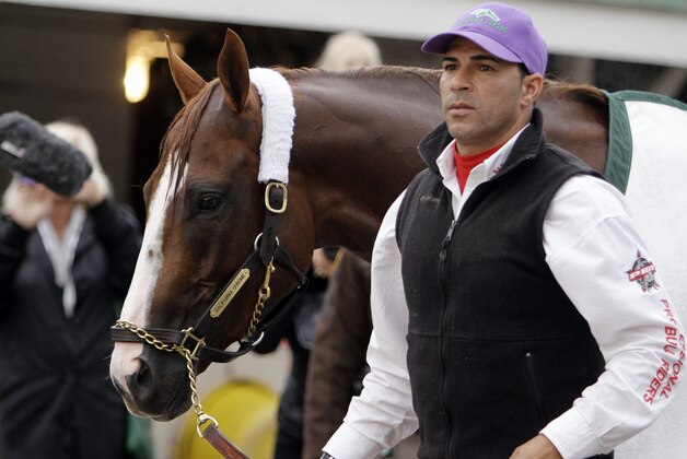 Exercise rider William Delgado walks Kentucky Derby entrant California Chrome back to the barn after a morning workout at Churchill Downs Thursday, May 1, 2014, in Louisville, Ky. (AP Photo/Garry Jones)