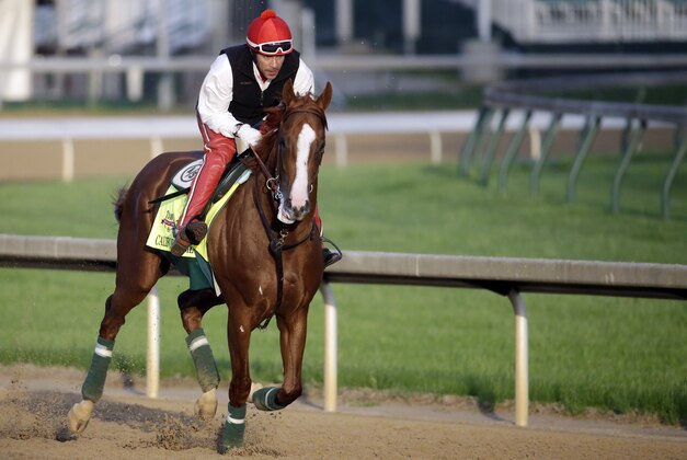 Exercise rider William Delgado takes Kentucky Derby entrant California Chrome for a morning workout at Churchill Downs Thursday, May 1, 2014, in Louisville, Ky. (AP Photo/Morry Gash)