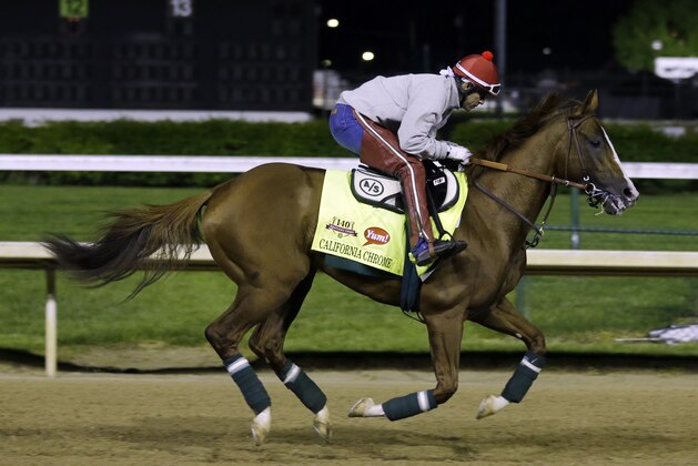 Exercise rider William Delgado takes Kentucky Derby entrant California Chrome for a morning workout during a morning workout at Churchill Downs Friday, May 2, 2014, in Louisville, Ky. (AP Photo/Morry Gash)