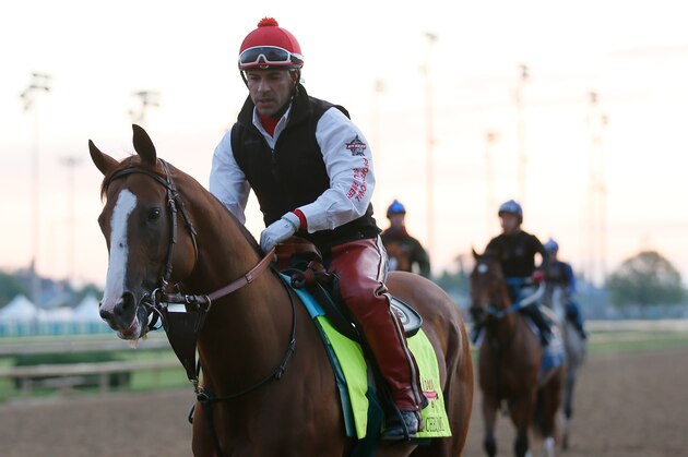 LOUISVILLE, KY - MAY 01:  Kentucky Derby contender California Chrome works during early morning workouts at Churchill Downs on May 1, 2014 in Louisville, Kentucky.  (Photo by Kevin C. Cox/Getty Images)