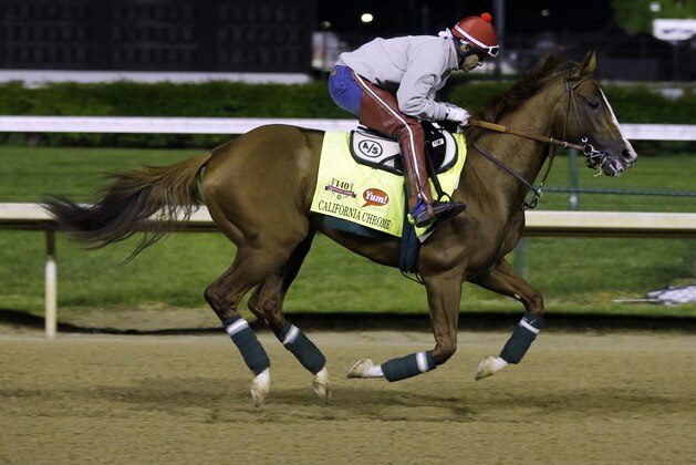 Exercise rider William Delgado takes Kentucky Derby entrant California Chrome for a morning workout during a morning workout at Churchill Downs Friday, May 2, 2014, in Louisville, Ky. (AP Photo/Morry Gash)