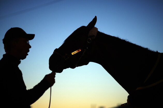 Dan Queenan holds Kentucky Derby entrant Commanding Curve after a morning workout at Churchill Downs Friday, May 2, 2014, in Louisville, Ky. (AP Photo/David Goldman)