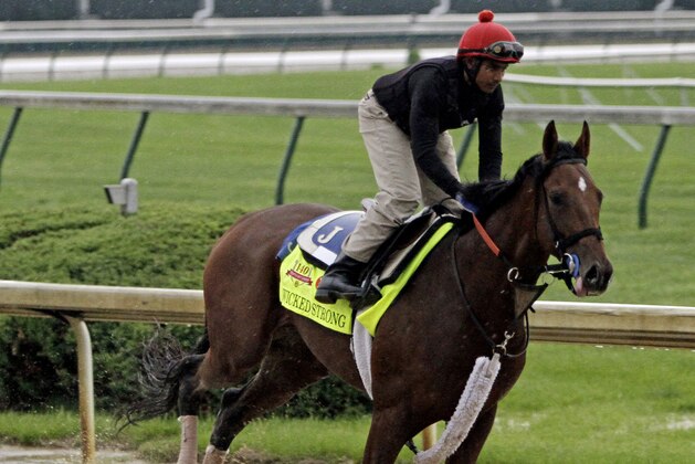 Exercise rider Kelvin Pahal takes Kentucky Derby hopeful Wicked Strong for a morning workout at Churchill Downs Monday, April 28, 2014, in Louisville, Ky. (AP Photo/Garry Jones)