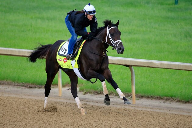 LOUISVILLE, KY - APRIL 30:  Intense Holiday ridden by Isabelle Bourez trains on the track during the morning exercise session in preparation for the 140th Kentucky Derby at Churchill Downs on April 30, 2014 in Louisville, Kentucky.  (Photo by Rob Carr/Getty Images)