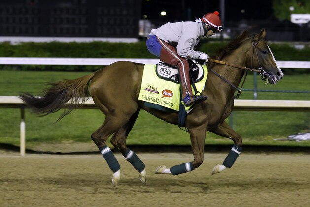 Exercise rider William Delgado takes Kentucky Derby entrant California Chrome for a morning workout during a morning workout at Churchill Downs Friday, May 2, 2014, in Louisville, Ky. (AP Photo/Morry Gash)
