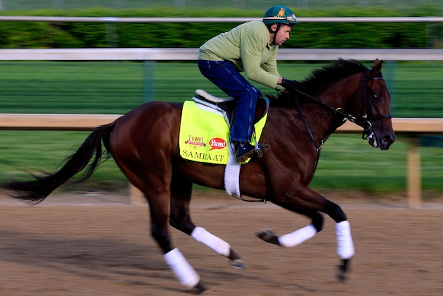 LOUISVILLE, KY - MAY 01:  Kentucky Derby contender Samraat in action on the track during early morning workouts at Churchill Downs on May 1, 2014 in Louisville, Kentucky.  (Photo by Jamie Squire/Getty Images)