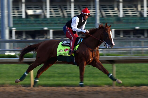 LOUISVILLE, KY - MAY 01:  California Chrome runs on the track during the morning training for the Kentucky Derby at Churchill Downs on May 1, 2014 in Louisville, Kentucky.  (Photo by Andy Lyons/Getty Images)