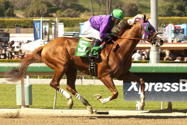 In a photo provided by Benoit Photo, California Chrome and jockey Victor Espinoza win the Santa Anita Derby horse race, Saturday, April 5, 2014, at Santa Anita in Arcadia, Calif. (AP Photo/Benoit Photo)