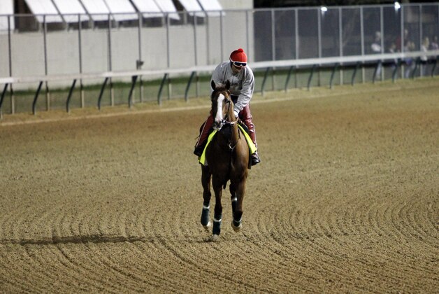 Exercise rider William Delgado takes Kentucky Derby entrant California Chrome for a morning workout at Churchill Downs Friday, May 2, 2014, in Louisville, Ky. (AP Photo/Garry Jones)