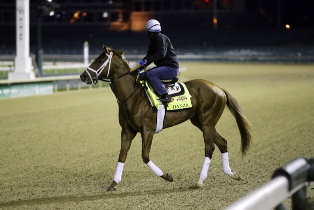Exercise rider Ezequiel Perez takes Kentucky Derby entrant Danza for a morning workout during a morning workout at Churchill Downs Friday, May 2, 2014, in Louisville, Ky. (AP Photo/Morry Gash)