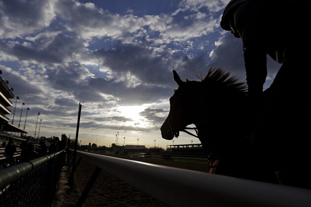 A horse goes for a morning workout at Churchill Downs Saturday, May 3, 2014, in Louisville, Ky. (AP Photo/David Goldman)