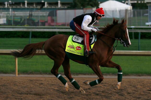 LOUISVILLE, KY - MAY 01:  Kentucky Derby contender California Chrome works during early morning workouts at Churchill Downs on May 1, 2014 in Louisville, Kentucky.  (Photo by Kevin C. Cox/Getty Images)