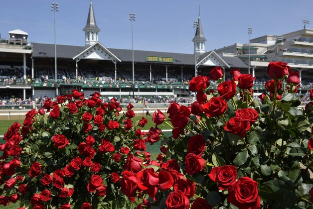 May 3, 2014; Louisville, KY, USA; A general view of roses in the infield with the twin spires in the background before the 2014 Kentucky Derby at Churchill Downs. Mandatory Credit: Jamie Rhodes-USA TODAY Sports