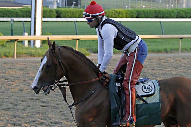 Kentucky Derby winner California Chrome jogged the wrong way around the track with exercise rider Willy Delgado aboard for the first time since his big win at Churchill Downs in Louisville, Ky., Wednesday morning, May 7, 2014.  (AP Photo/Garry Jones)