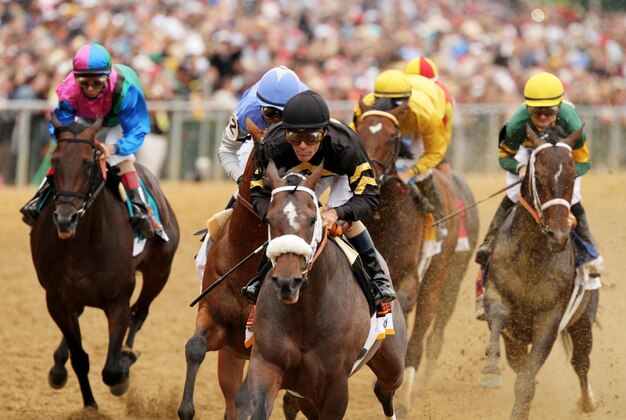 May 18, 2013; Baltimore, MD, USA; Gary Stevens aboard Oxbow (front) leads down the final stretch as John Velazquez aboard Itsmyluckyday (far left), Kevin Krigger aboard Goldencents (blue), Brian Hernandez Jr. aboard Departing (second from right), Julien Leparoux aboard Titletown Five (right)  trail behind at Pimlico race course. Mandatory Credit: Paul Frederiksen -USA TODAY Sports