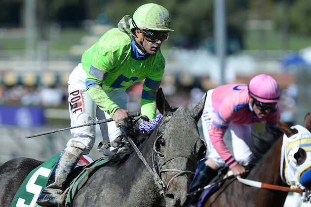 ARCADIA, CA - NOVEMBER 02:  Ria Antonia ridden by Javier Castellano reacts after crossing the finish line while She's a Tiger ridden by Gary Stevens follows in the Juvenile Fillies during the Breeders' Cup World Championships at Santa Anita Park on November 2, 2013 in Arcadia, California.  Ria Antonis was deemed the winner.  She's a Tiger would be disqualified.  (Photo by Harry How/Getty Images)