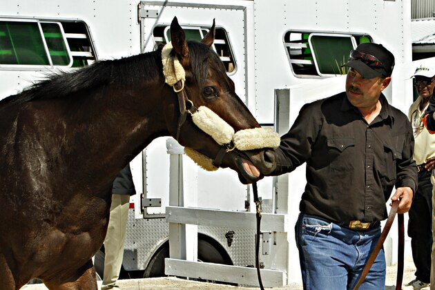 Preakness Stakes hopeful Ride On Curlin, led by trainer Billy Gowan, arrives at Pimlico Race Course in Baltimore, Md., Monday, May 12, 2014.  (AP Photo/Garry Jones)