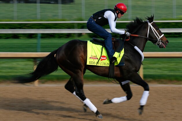 LOUISVILLE, KY - MAY 01:  Kentucky Derby contender Ride On Curlin works out on the track during early morning workouts at Churchill Downs on May 1, 2014 in Louisville, Kentucky.  (Photo by Kevin C. Cox/Getty Images)