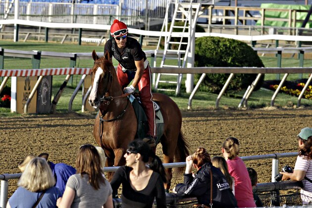 Exercise rider Willie Delgado jogs Kentucky Derby winner California Chrome past fans attending Sunrise at Old Hilltop at Pimlico Race Course in Baltimore, Md., Tuesday, May 13, 2014. The Preakness Stakes is scheduled for Saturday, May 17. (AP Photo/Garry Jones)